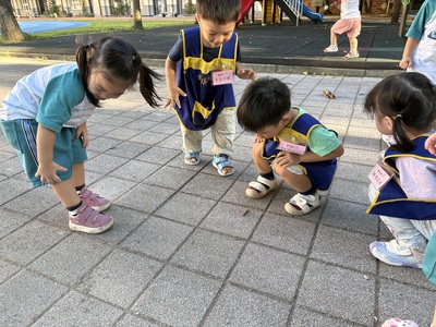 W3-2 螞路蟲耶