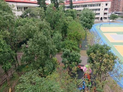 校園樹木-遊戲器材區