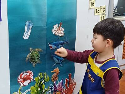 114-2動物大觀園海洋世界